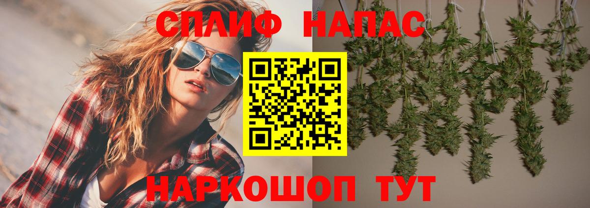 Канабис план Малгобек